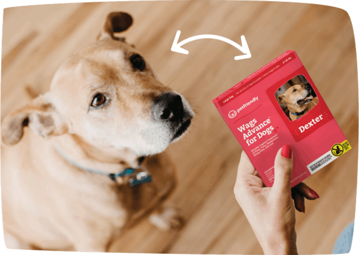 Pet with Wags Advance product