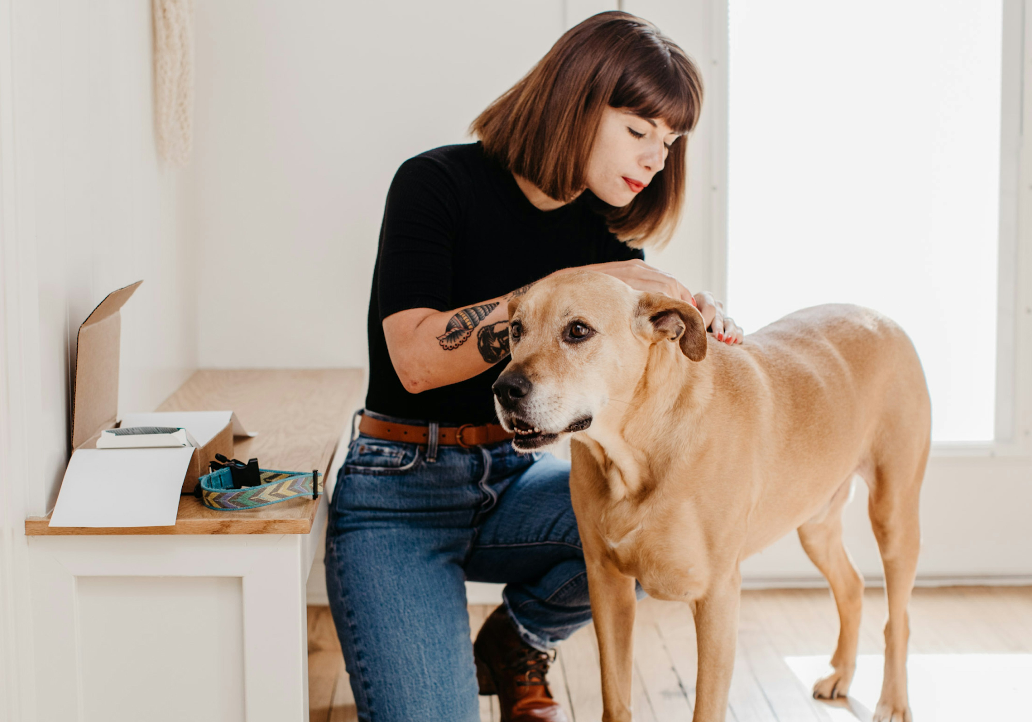 how to remove a tick from a dog