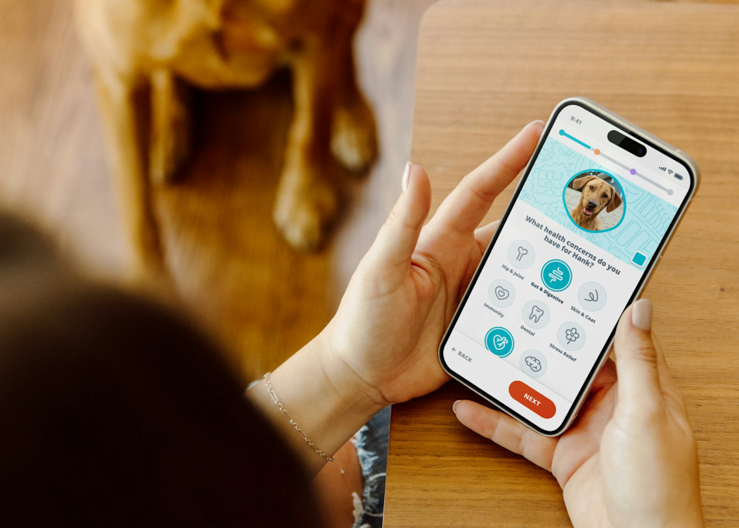 Phone with PetFriendly Quiz