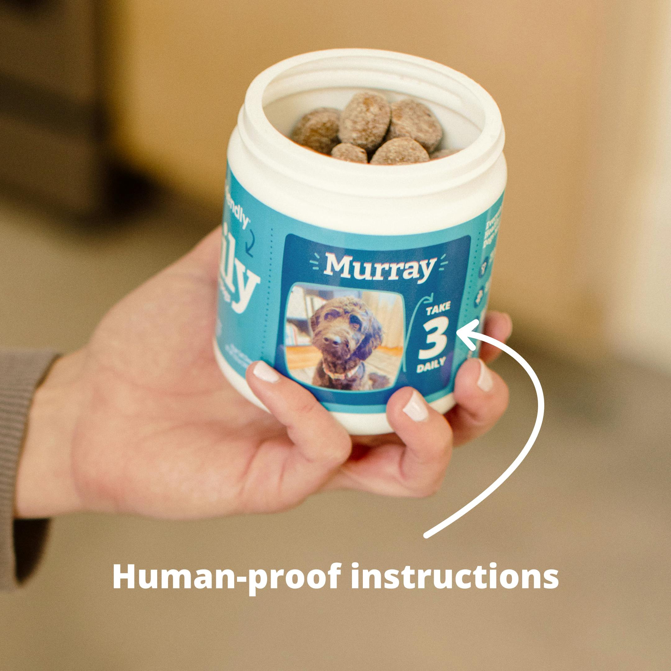 Human-Proof Instructions