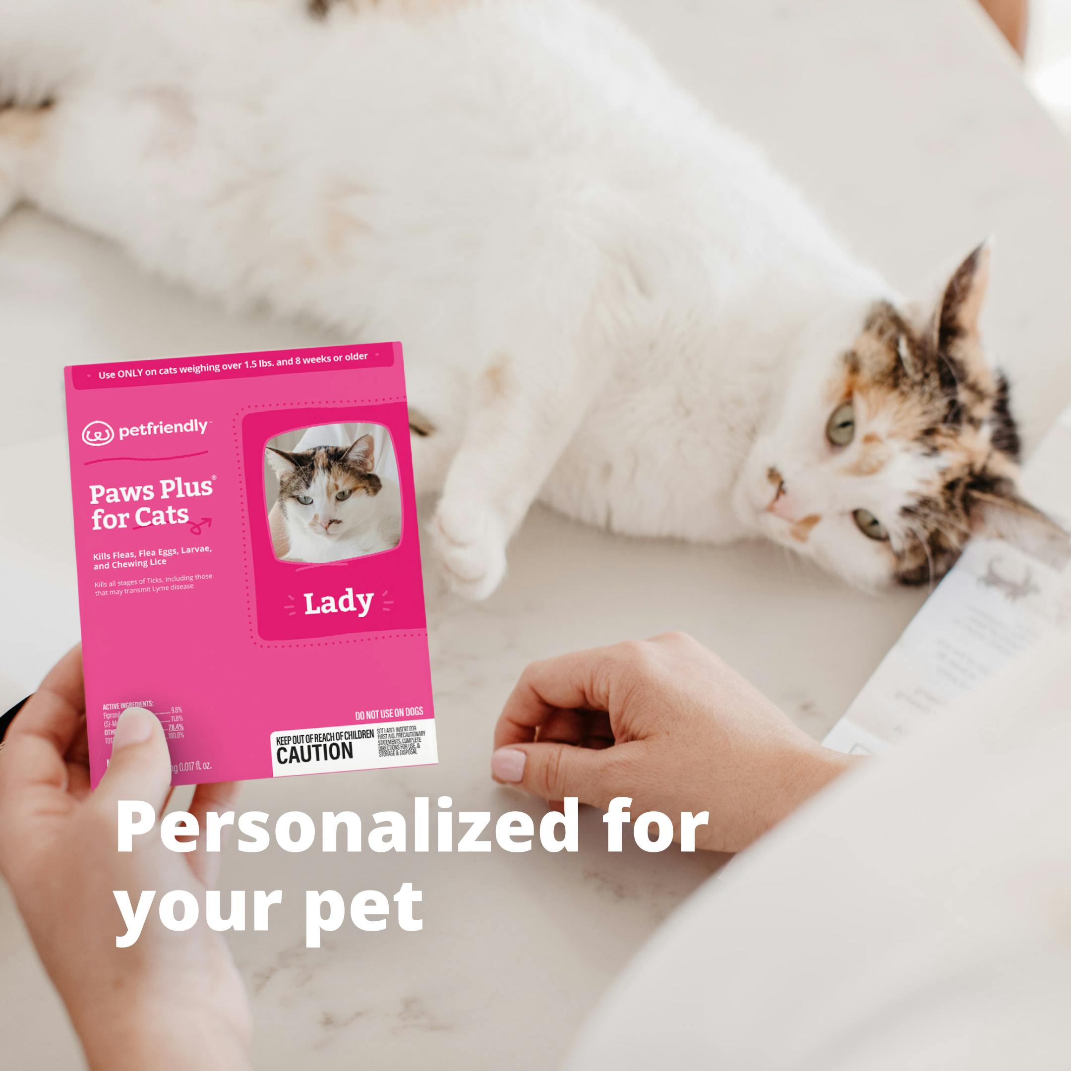 Personalized for your cat