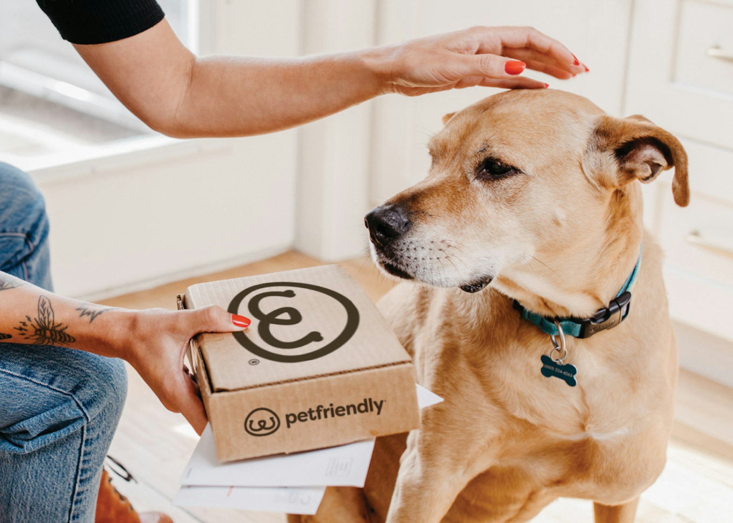 PetFriendly’s Perfectly Timed Delivery