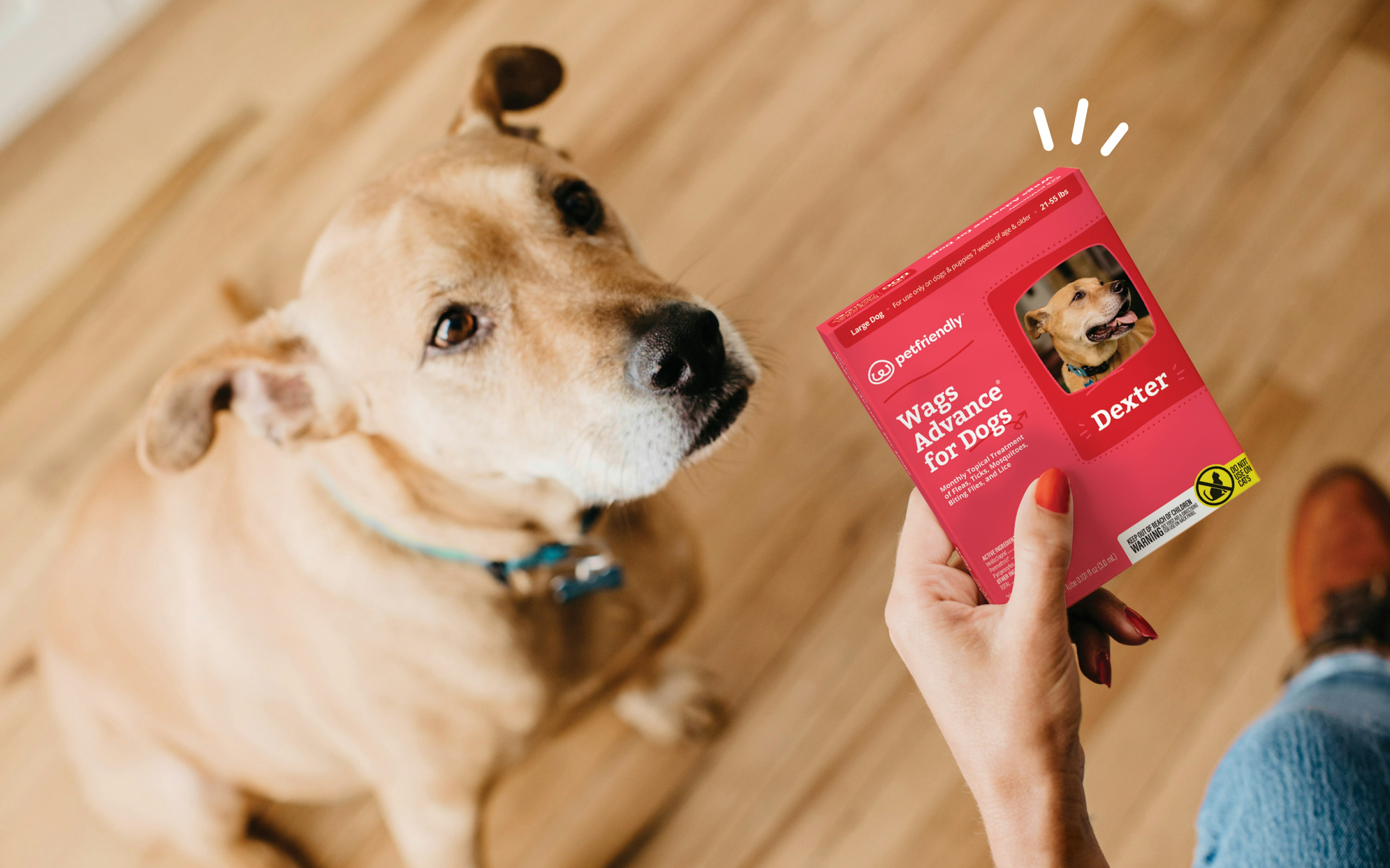No Confusion With Personalized Pet Health Products