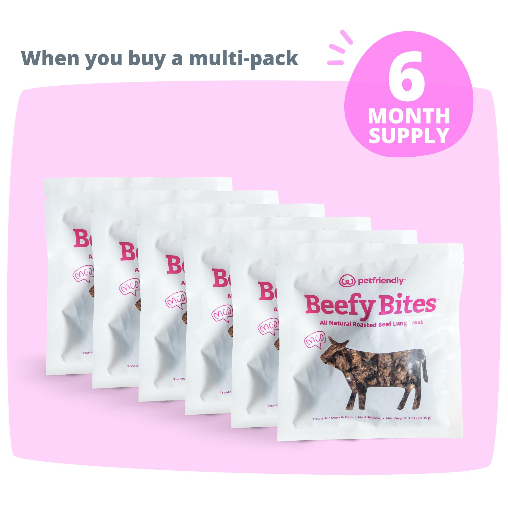 Beefy Bites 6-Pack
