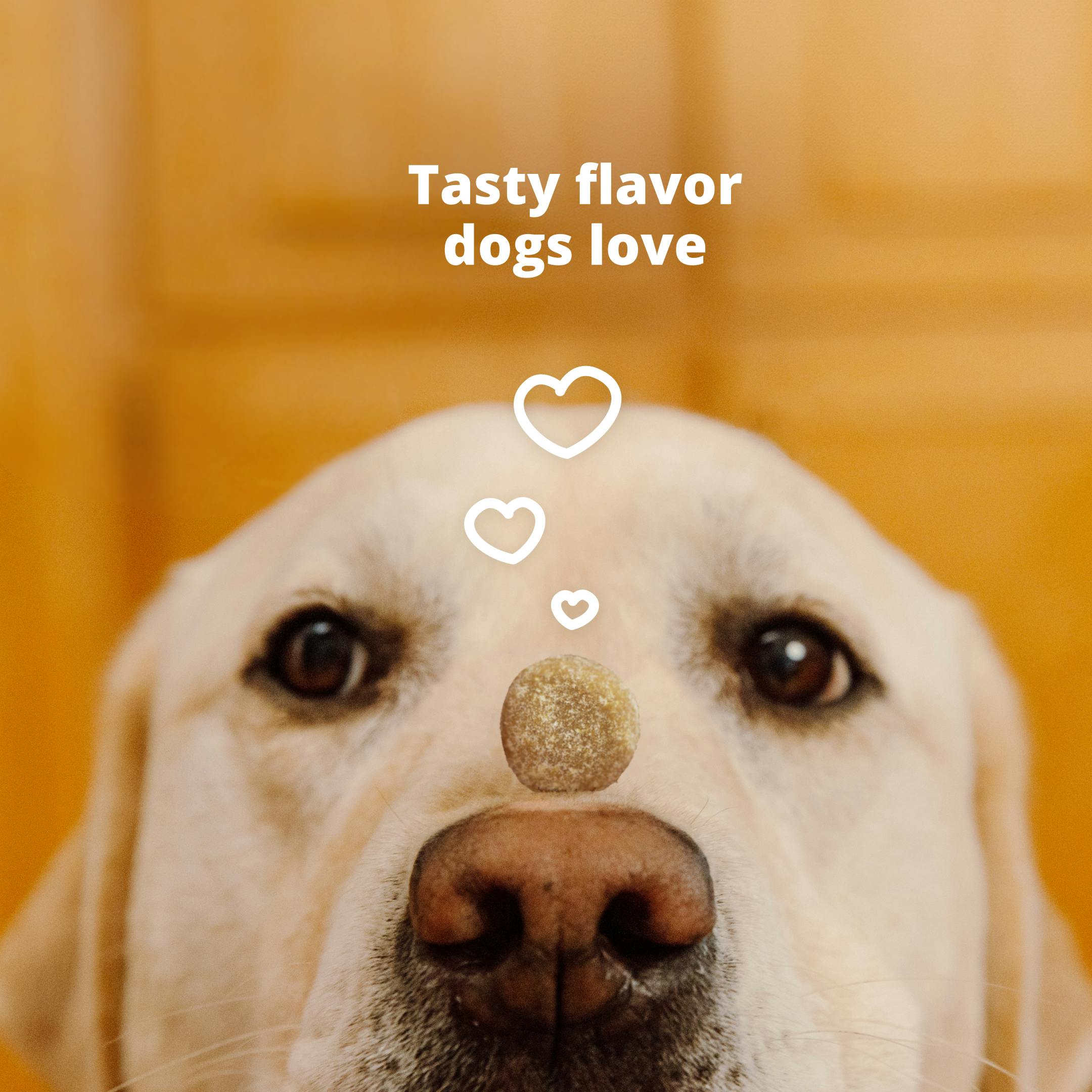Tasty Flavor Dogs Love