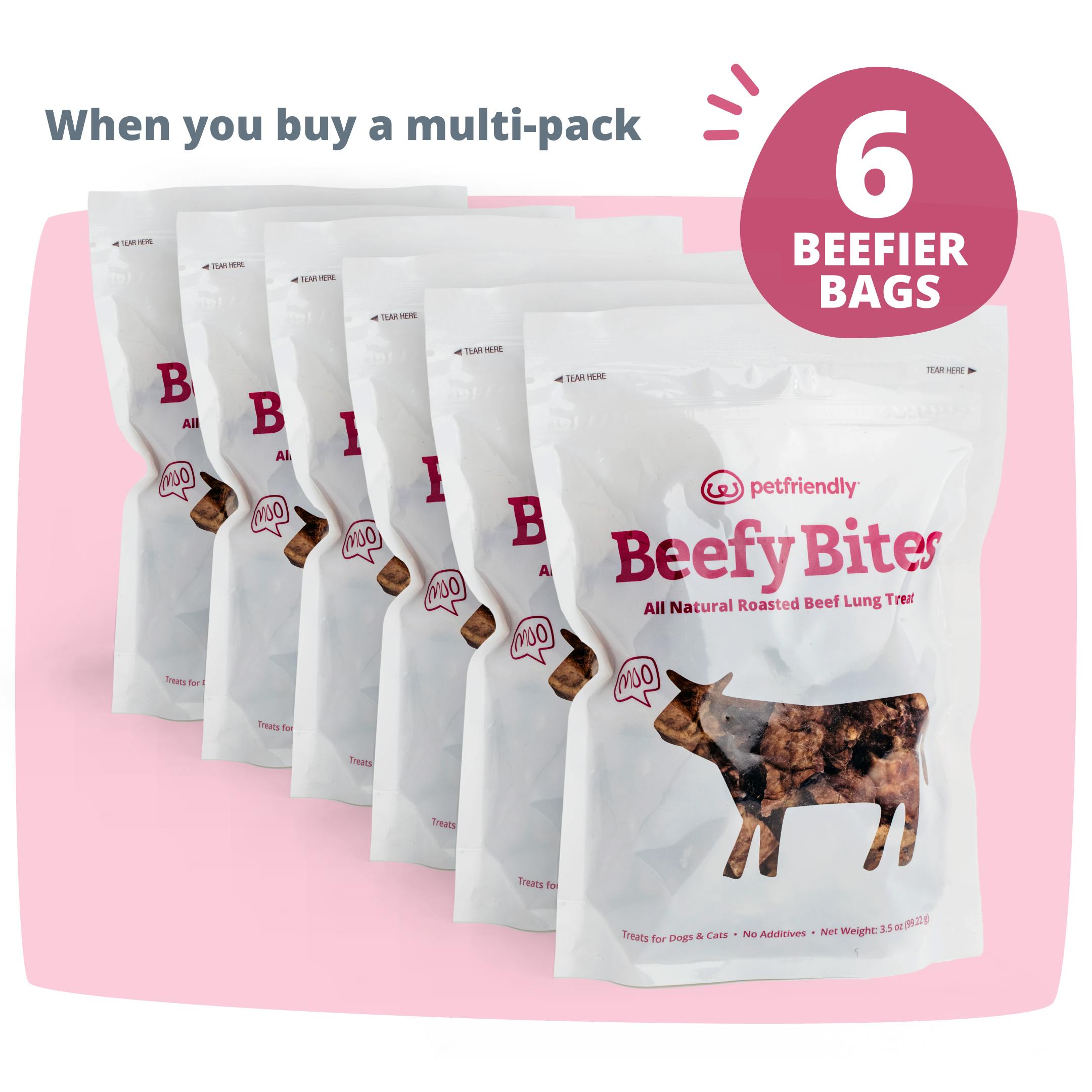 Beefy Bites Beefier Bag 6-pack