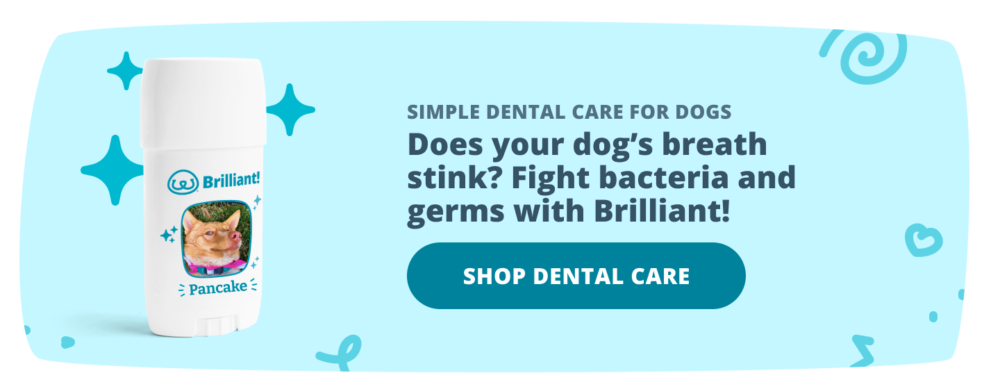Try Brilliant! Dental Care for Dogs