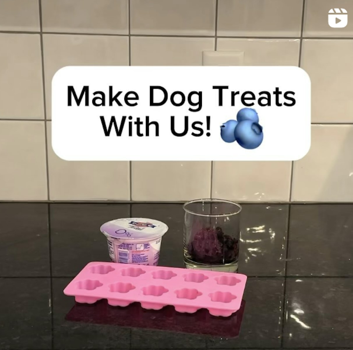Make Dog Treats