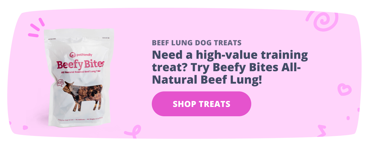 Try Beefy Bites for Dogs