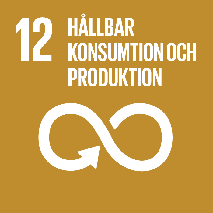 Mål 12: Hållbar konsumtion och produktion