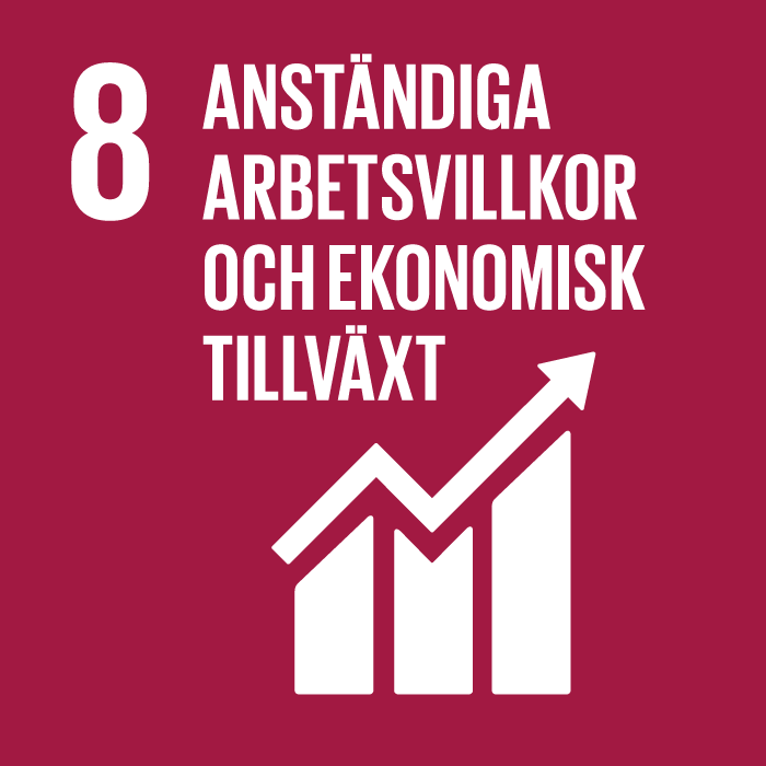 Goal 8: Decent Working Conditions and Economic Growth