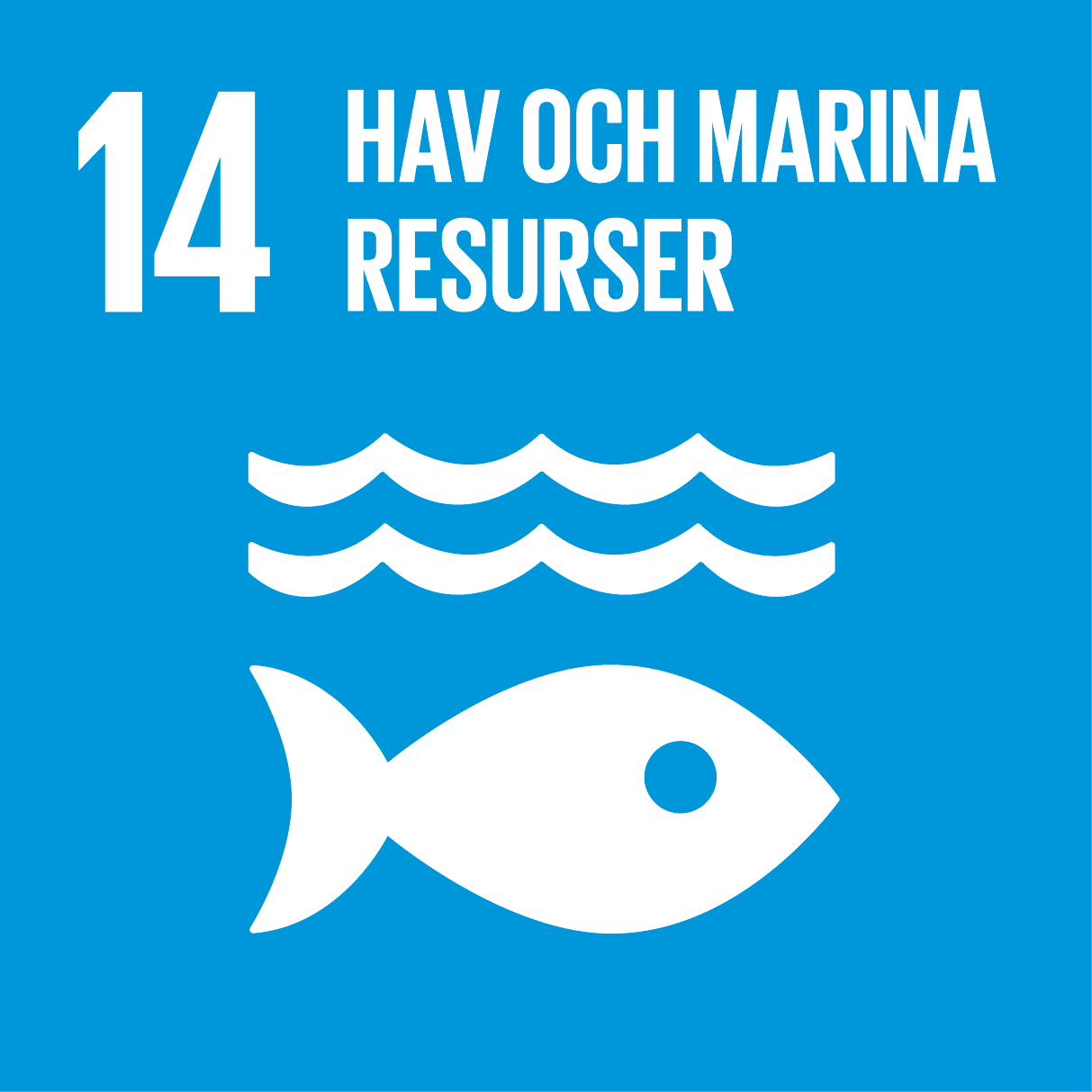 Goal 14: Ocean and Marine Resources