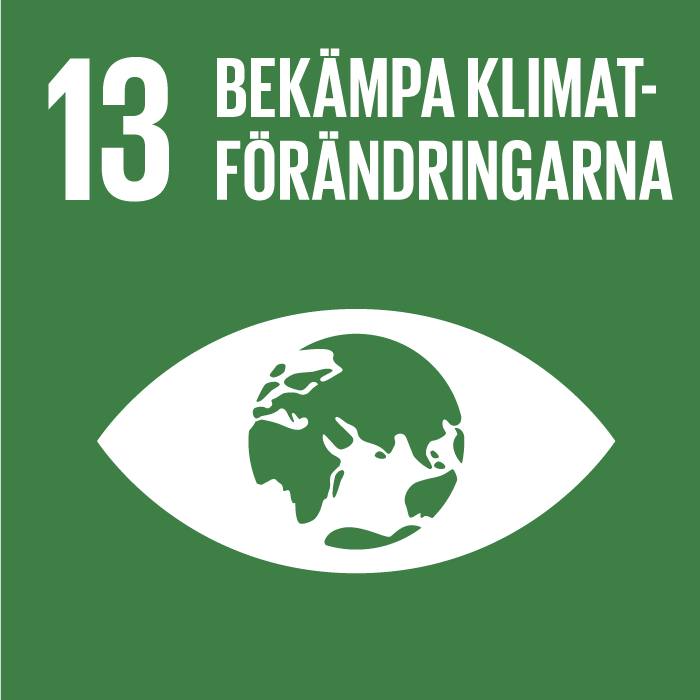 Goal 13: Combat Climate Change