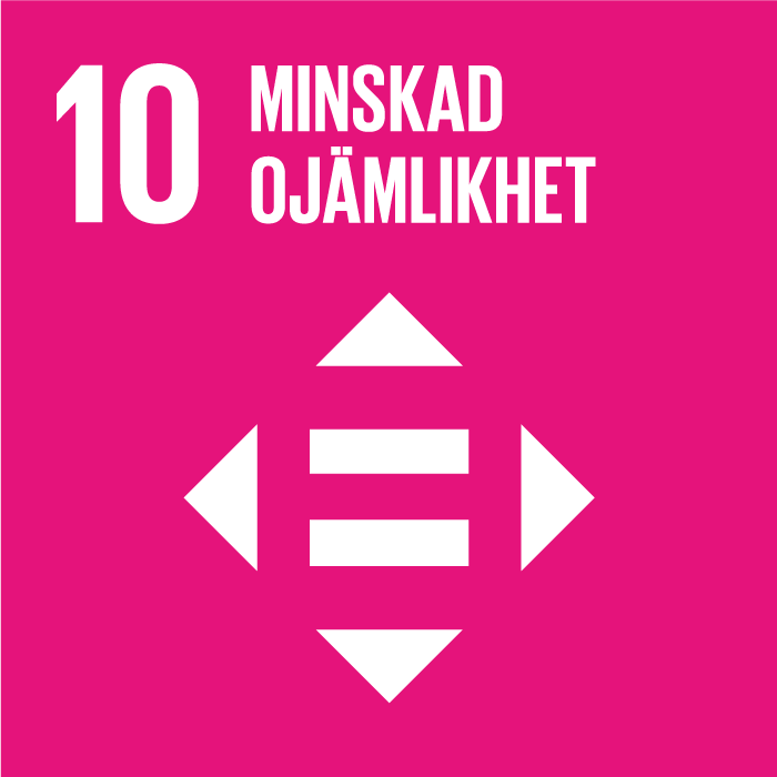 Goal 10: Reduced Inequality