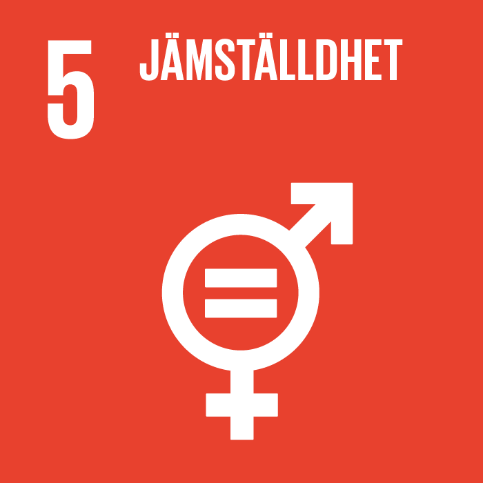 Goal 5: Equality