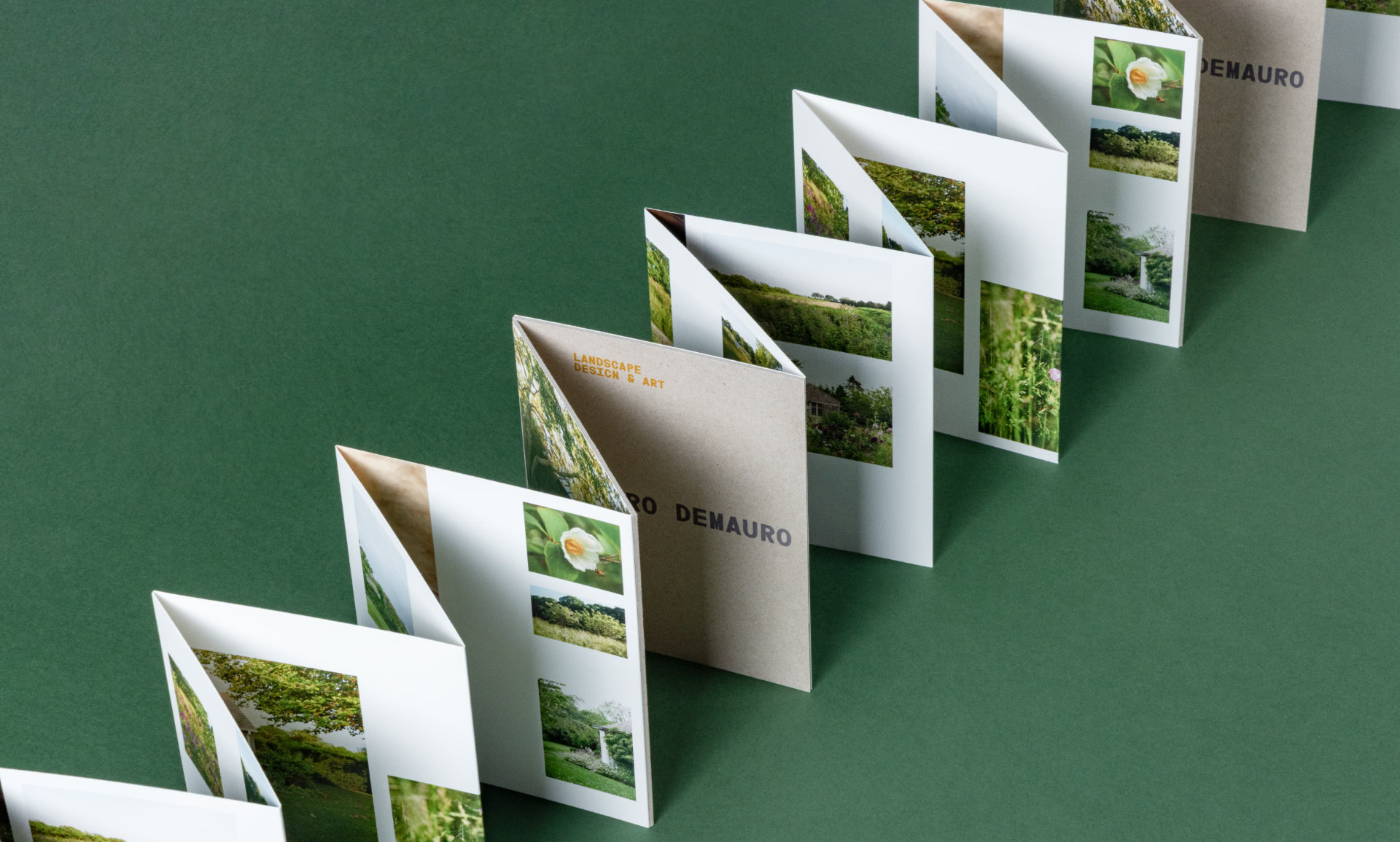 Row of letters for Demauro Demauro