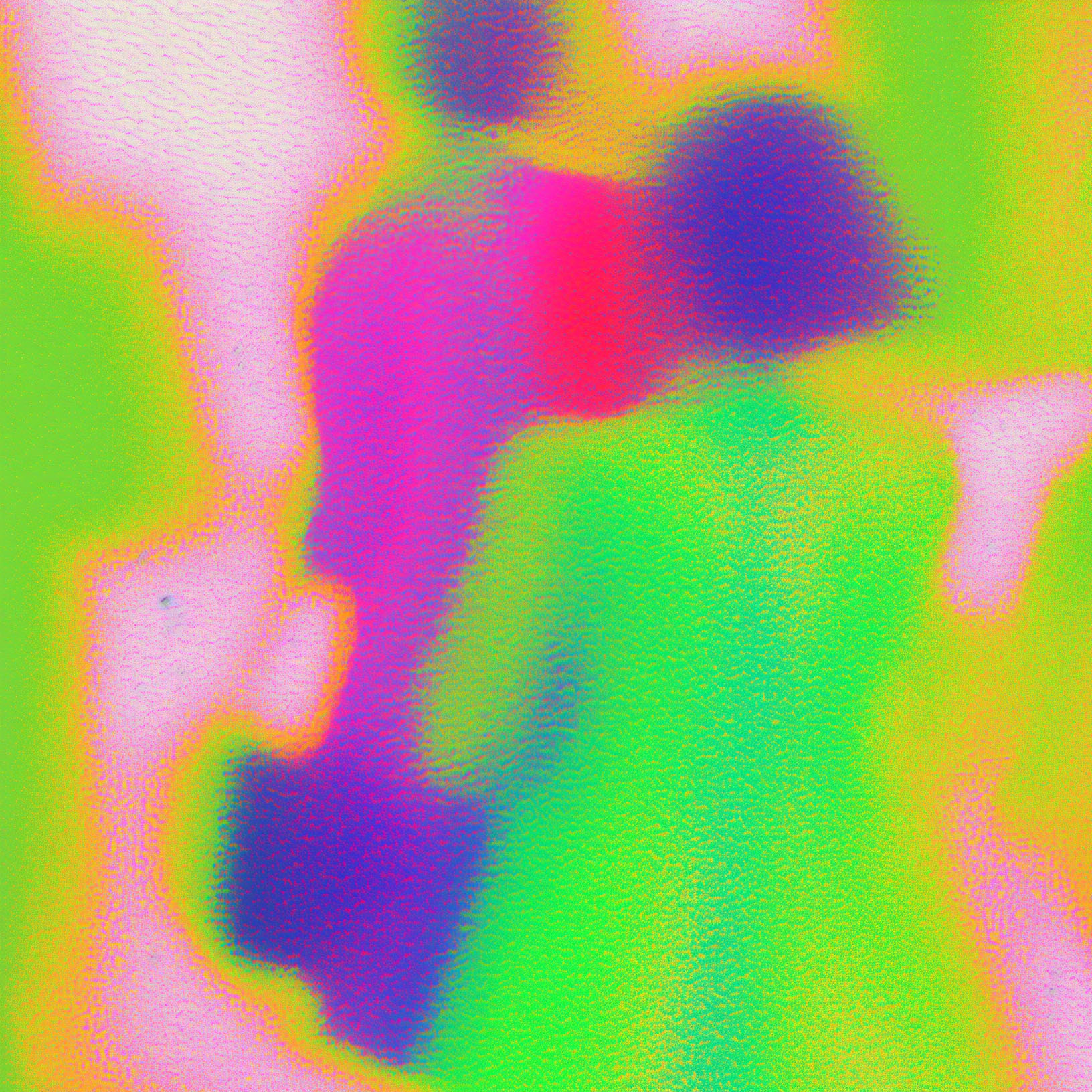 vivid