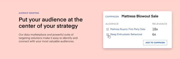 Audience targeting feature