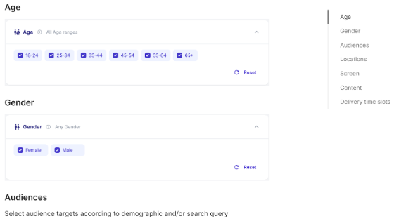 Vibe demographic targeting features