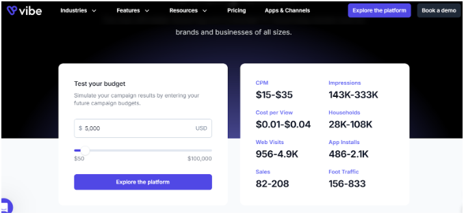 Vibe Pricing
