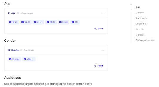 Vibe demographic targeting features