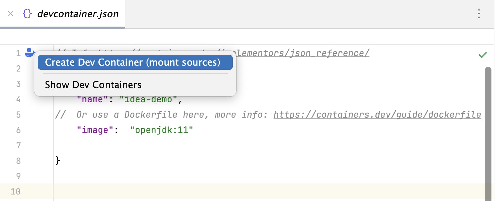 JetBrains Dev Container extension