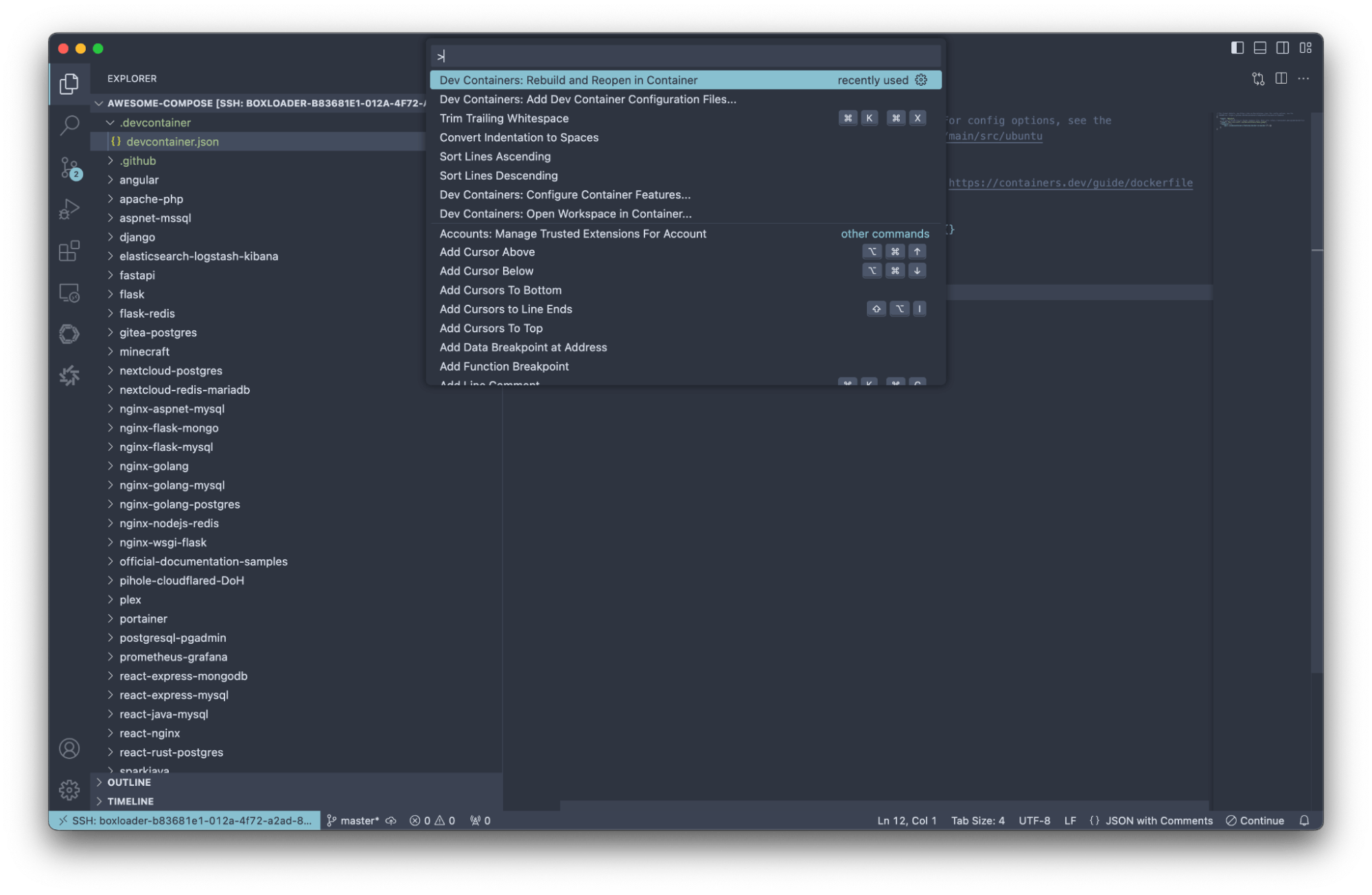 Reopen in a Container in the dev container command palette