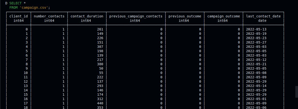 screenshot of records in campaign.csv file