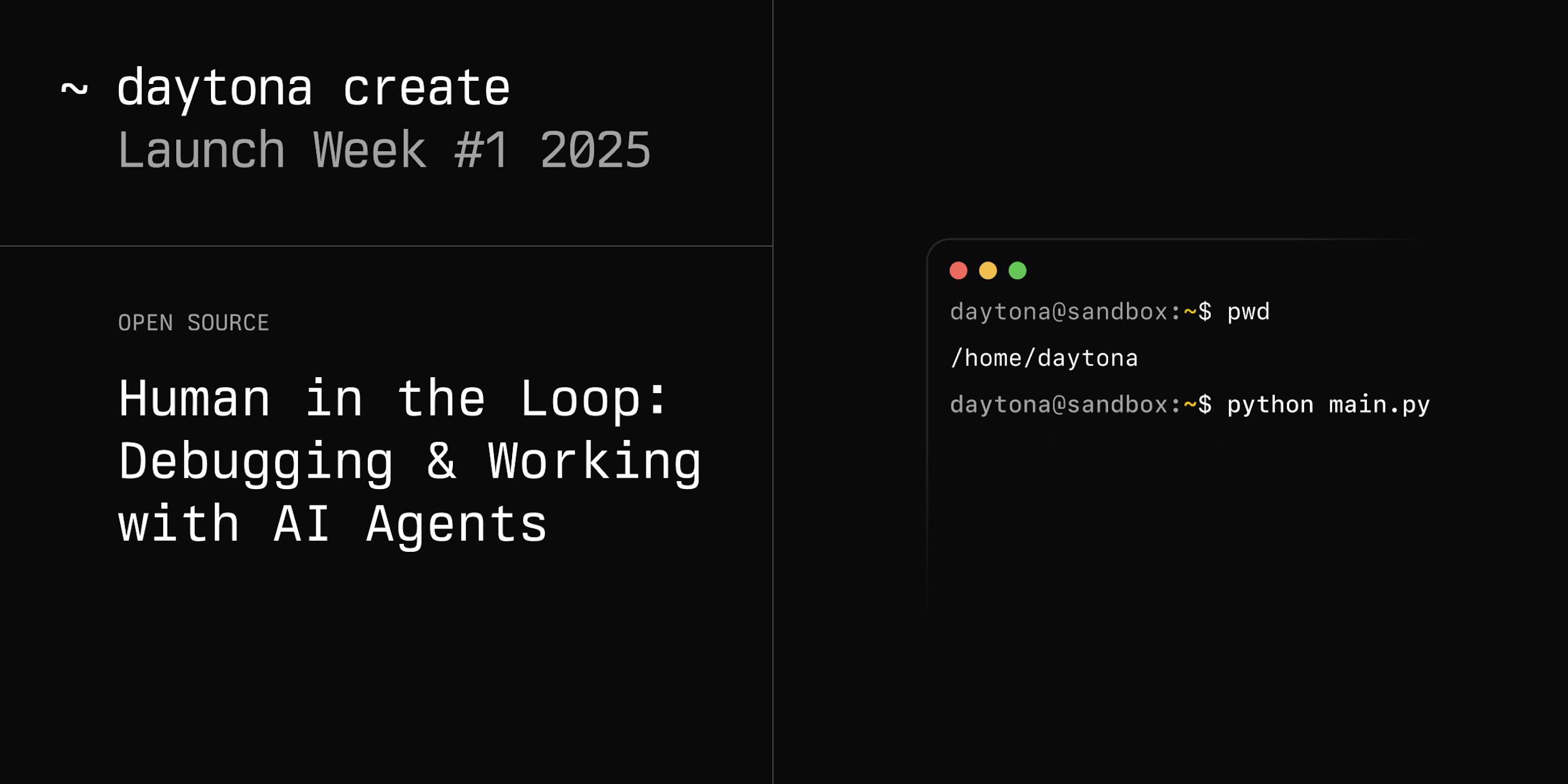 Introducing the Daytona Web Terminal