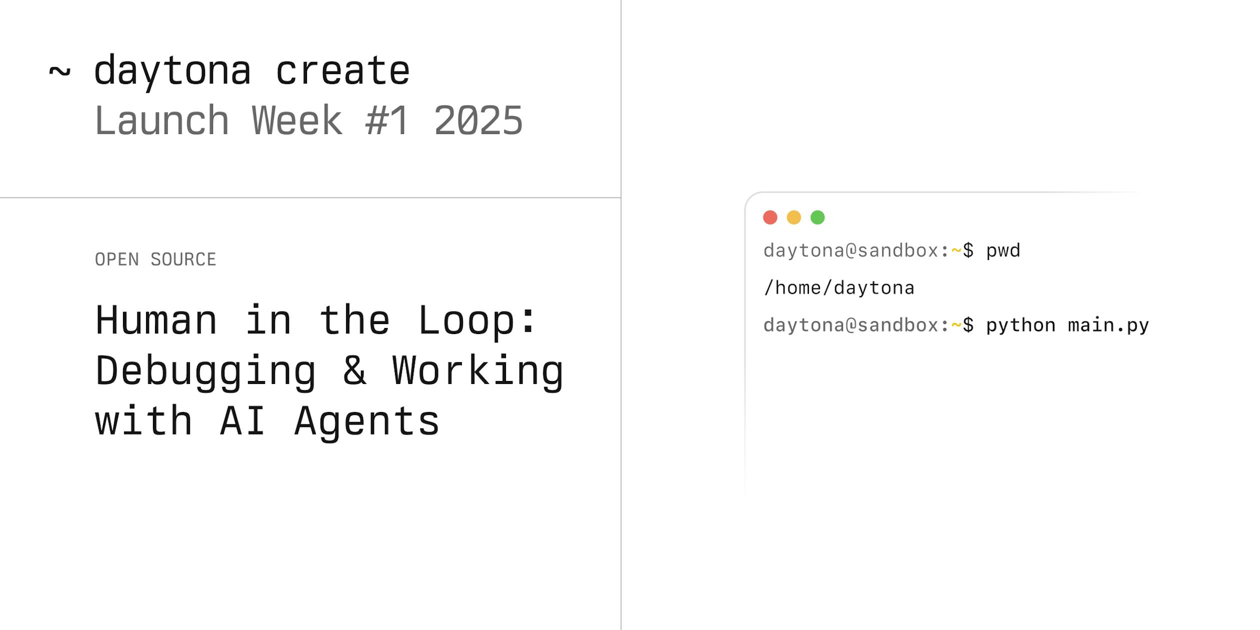 Introducing the Daytona Web Terminal