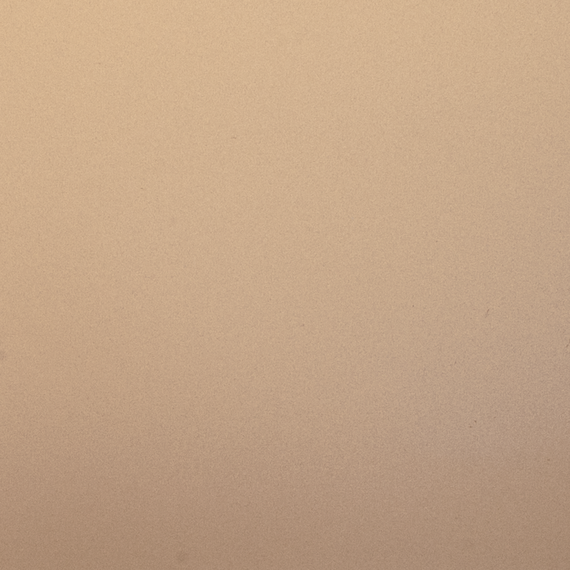 ColourTex® – Mirror Champagne