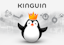 Kinguin Gift Card 25 EUR