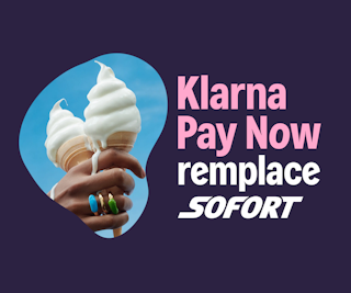 Payez en toute sécurité sur dundle avec Klarna Pay Now