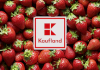 Kaufland Gift Card 5 € logo
