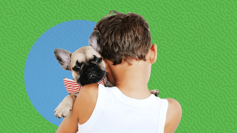 Gift Guide for Pet Lovers article banner image of boy with his dog