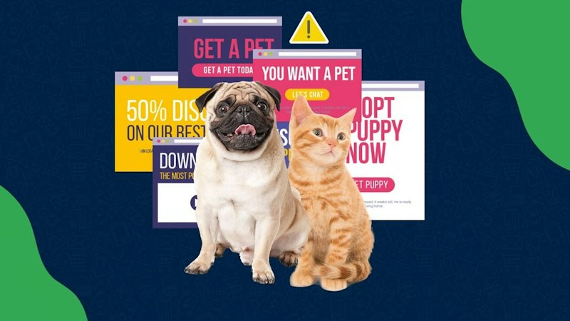 Hoe voorkom je oplichting bij het kopen of adopteren van een huisdier?
