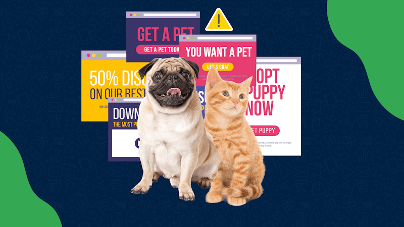 Adopcja zwierzaka online? Uważaj na scamy i oszustwa!