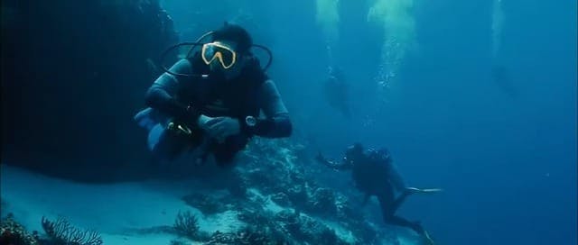 People scuba diving