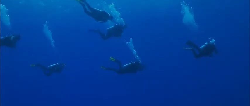 Scuba divers