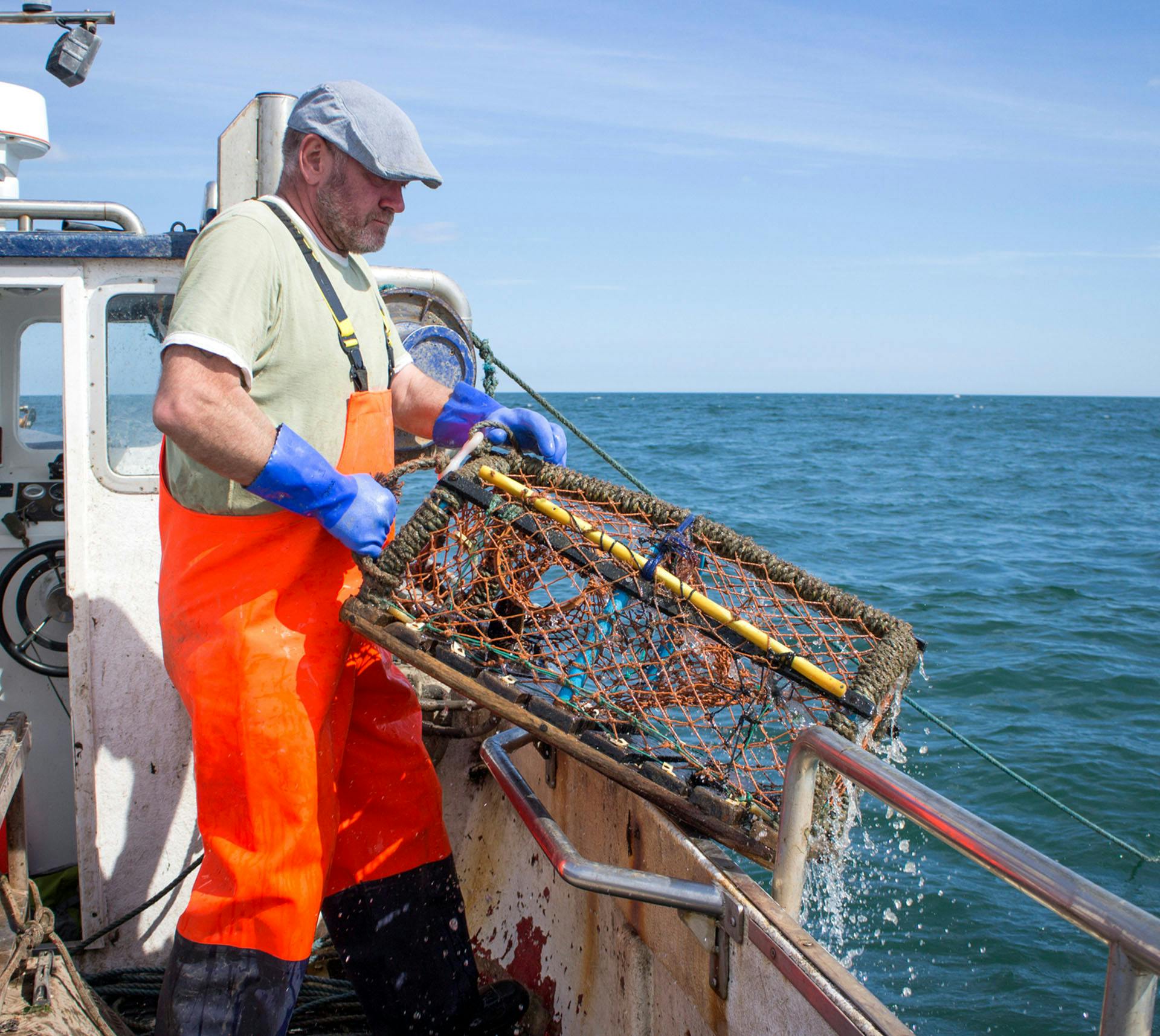 Fisherman pulling net out of water