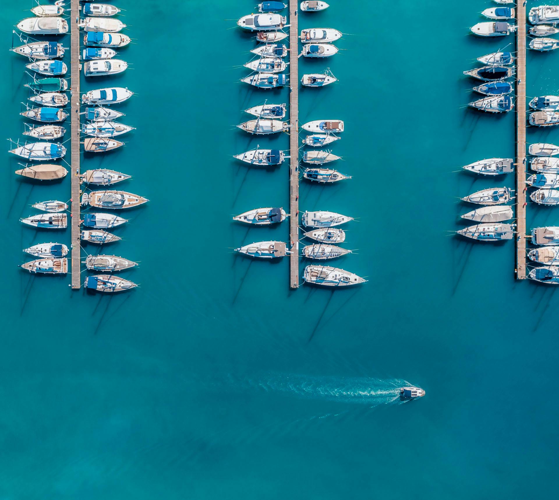 Boats lined up in marina