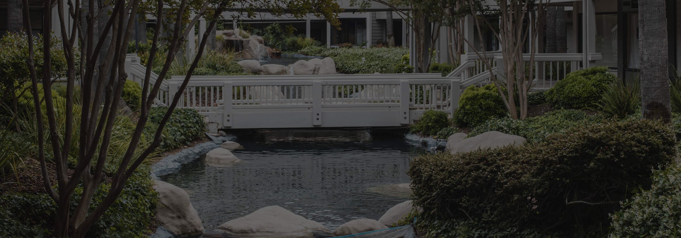 Quote background media