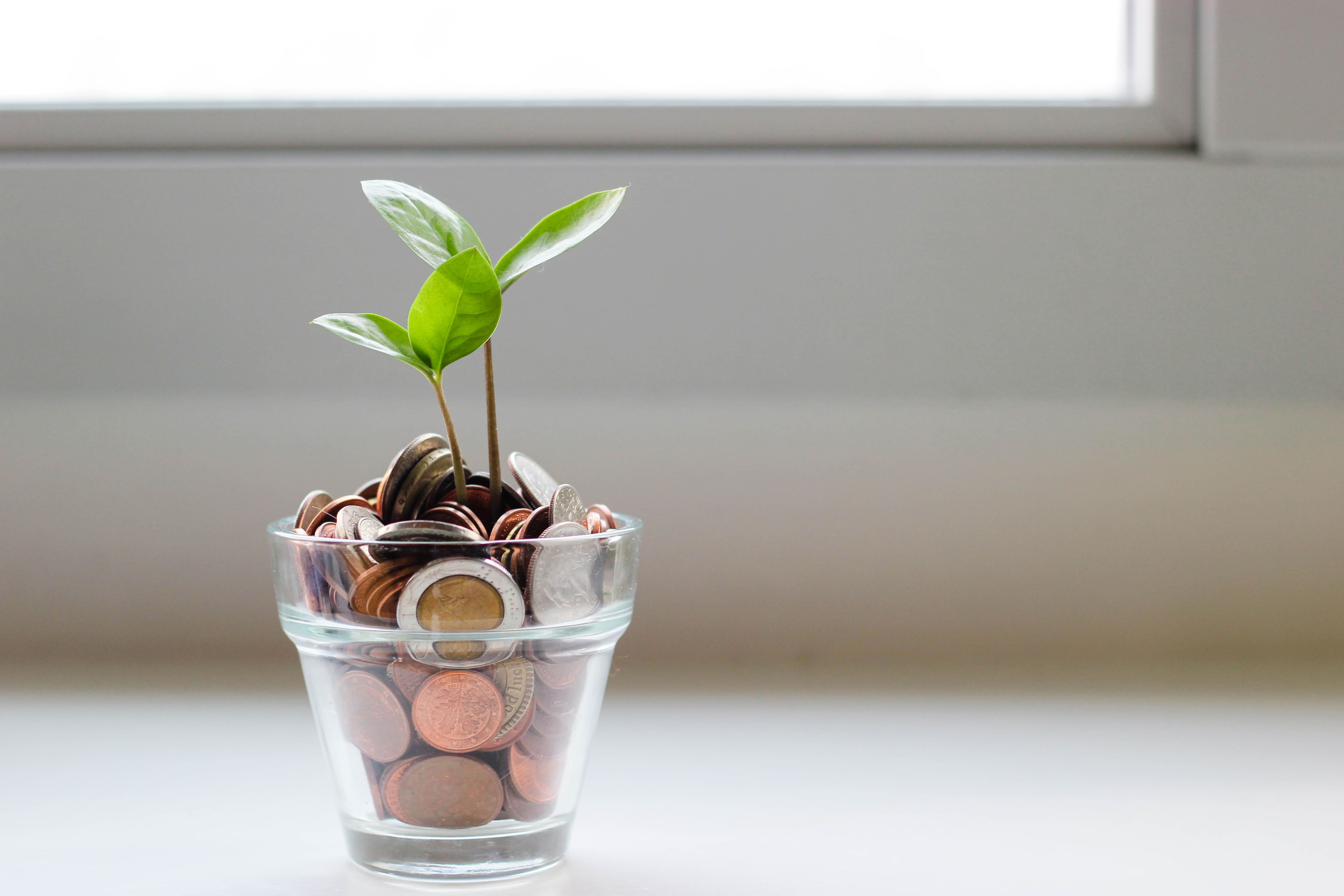 Balance Sheets: A Guide for New Entrepreneurs