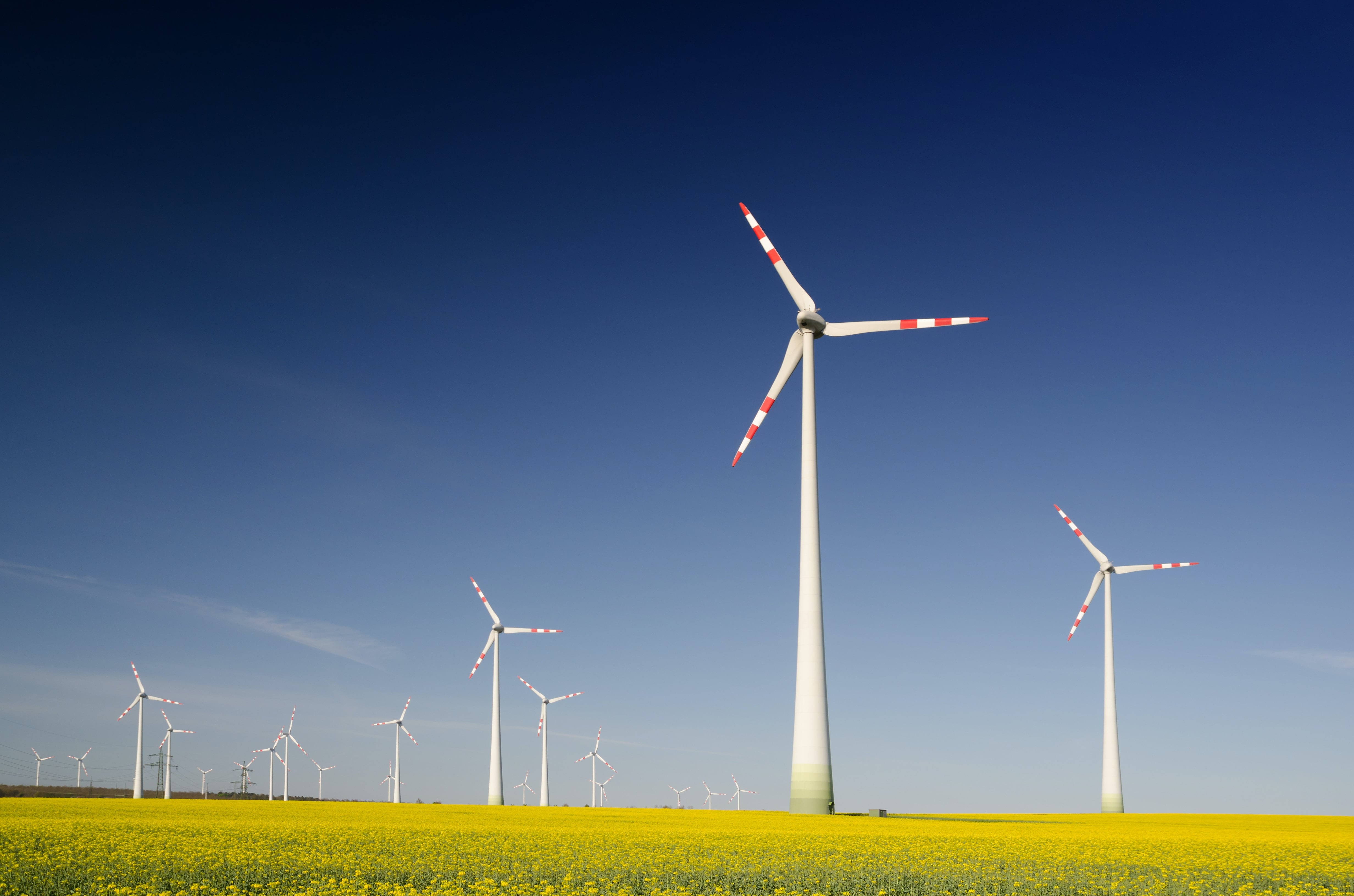 10 tips to improve business corporate social responsibility
