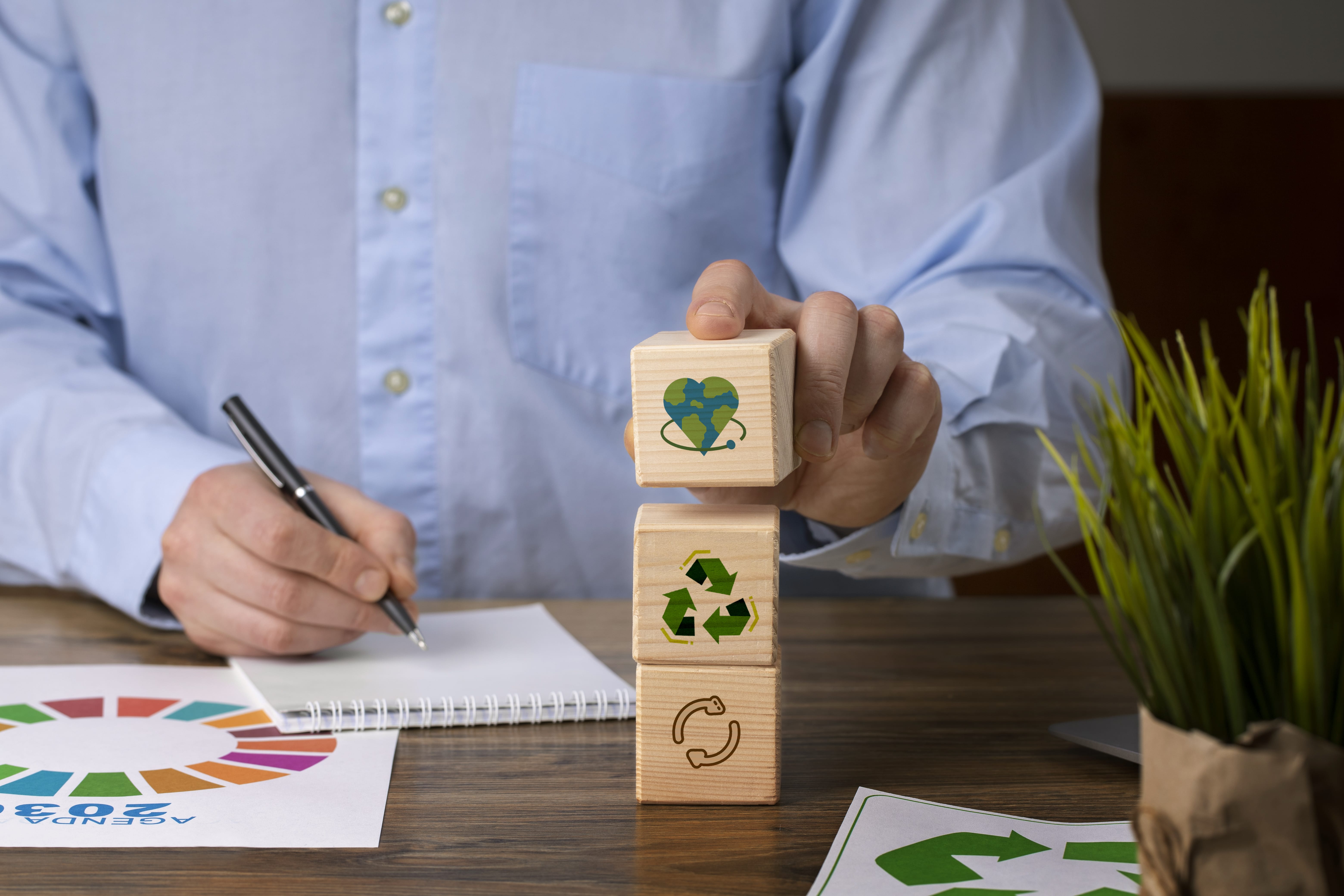 Building a Sustainable Business Model in Portugal