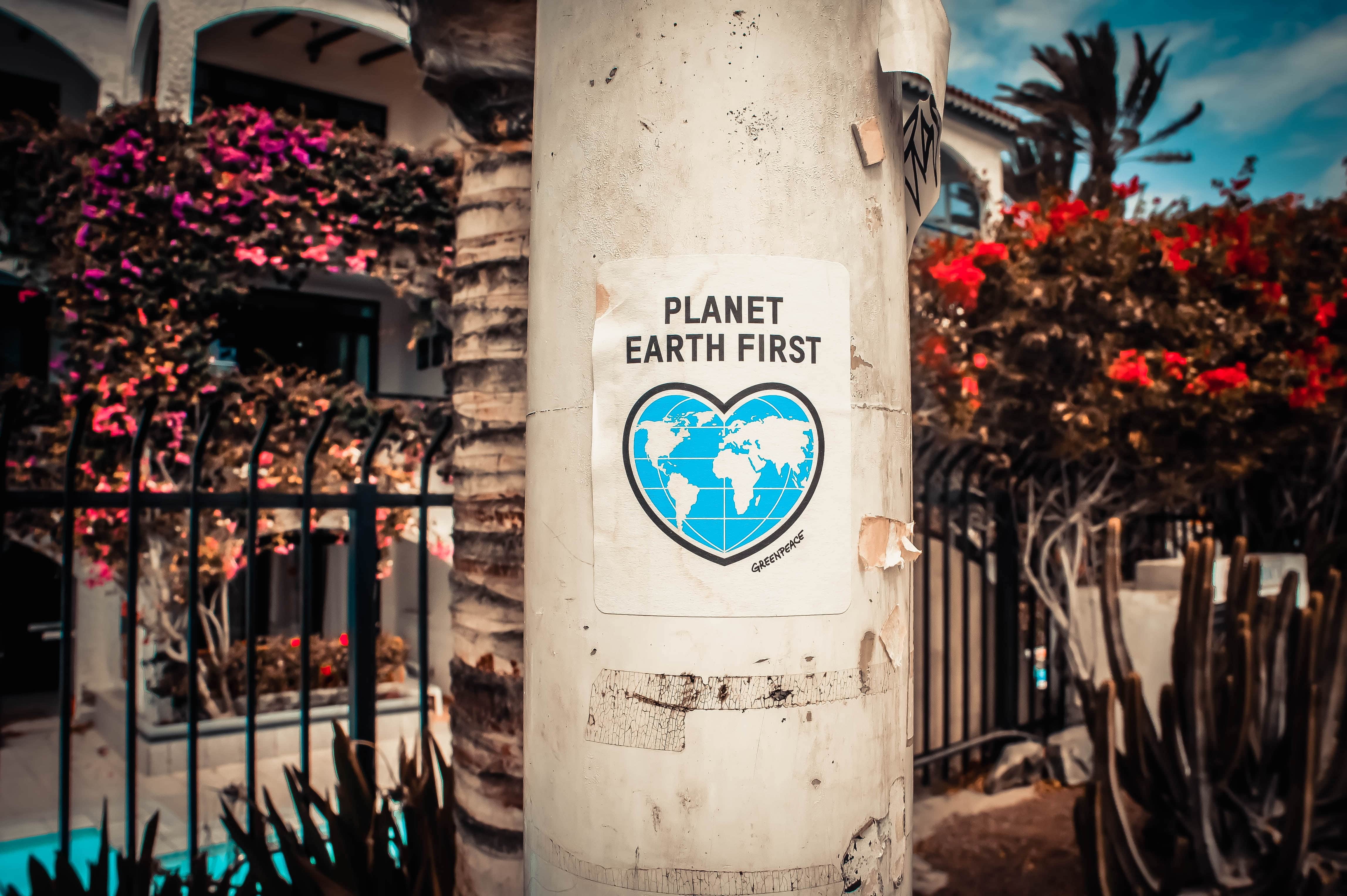 Green Business Practices for Sustainable Entrepreneurship