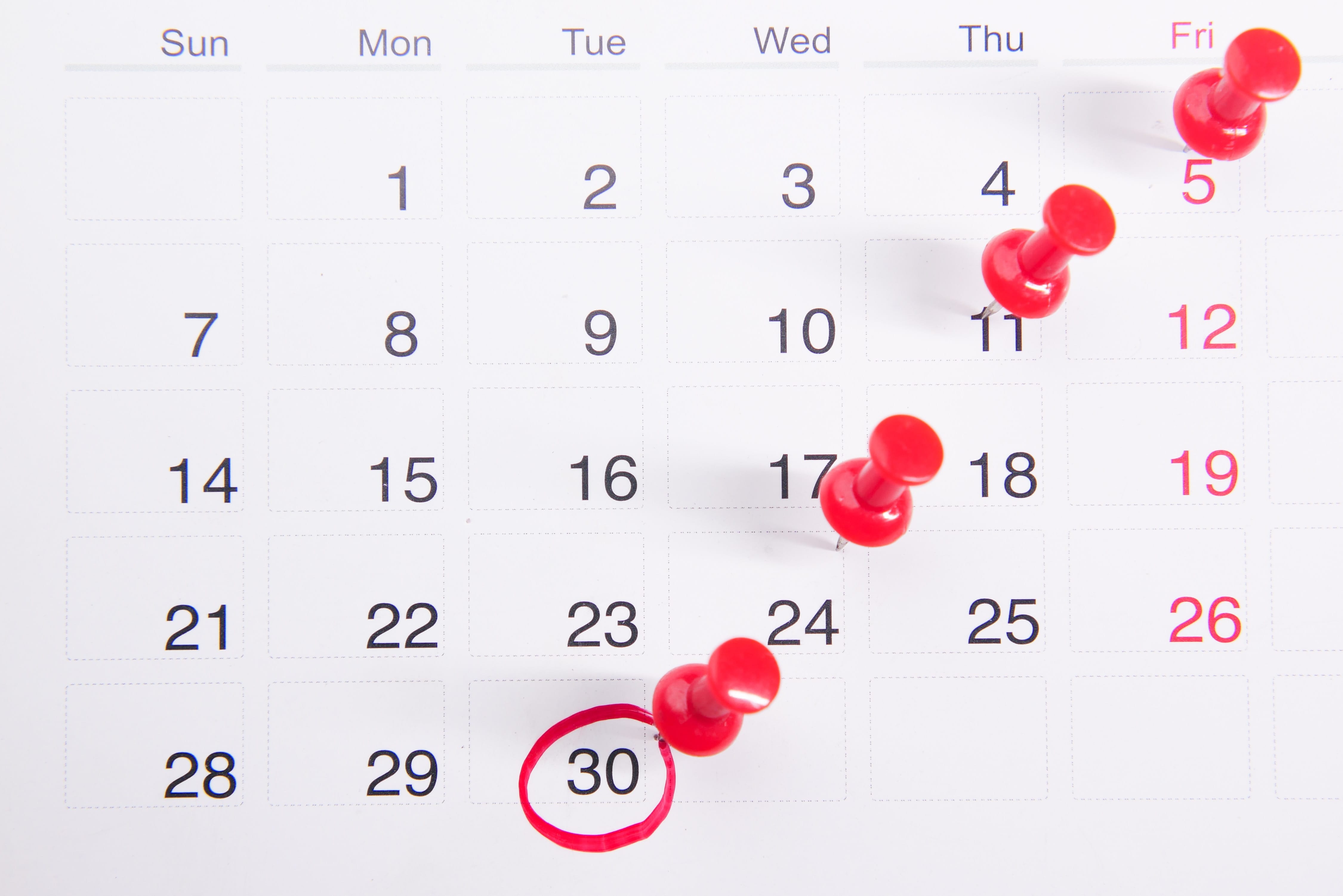 Portuguese Tax Calendar 2024