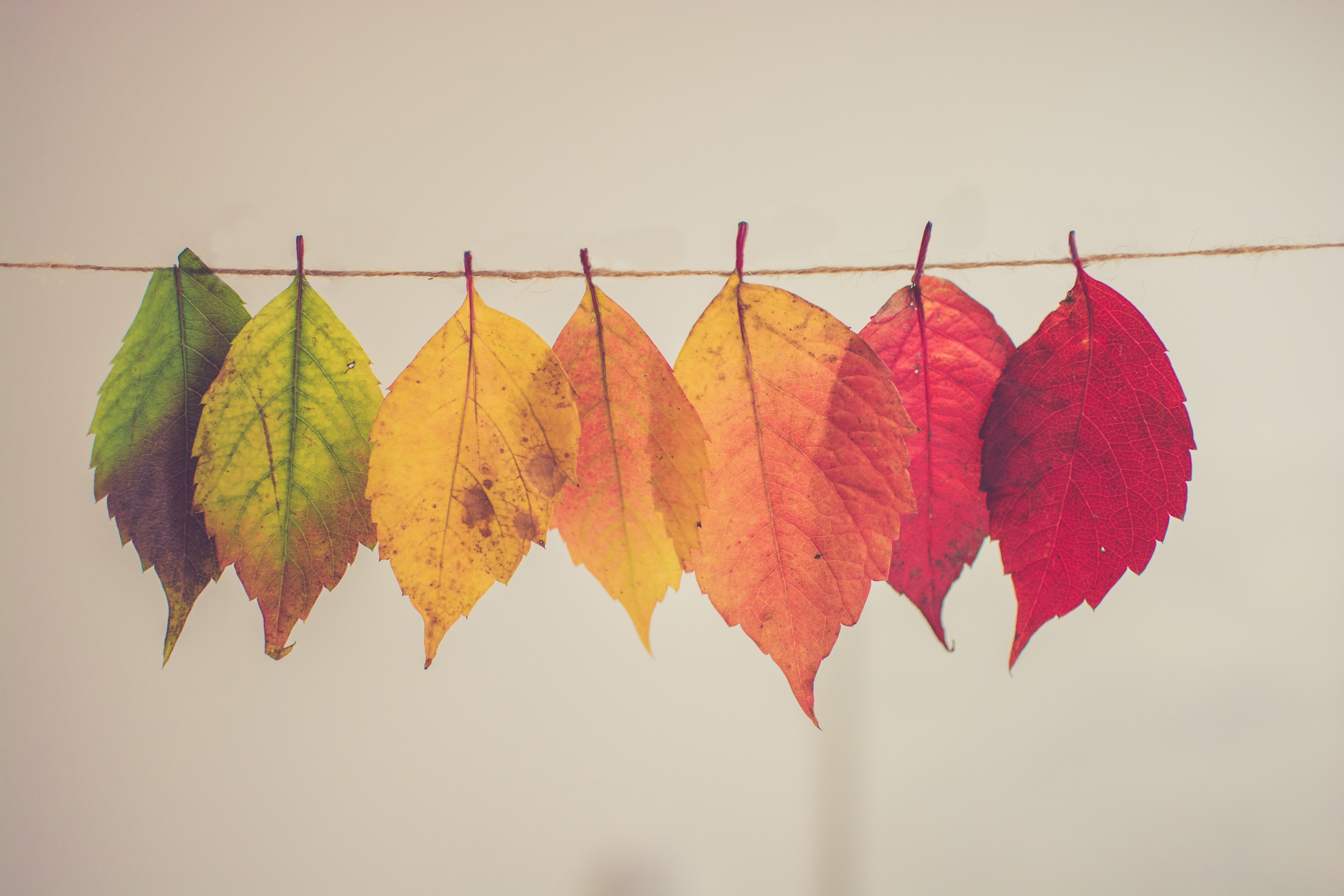 7 Tips for Managing Seasonal Fluctuations in Business
