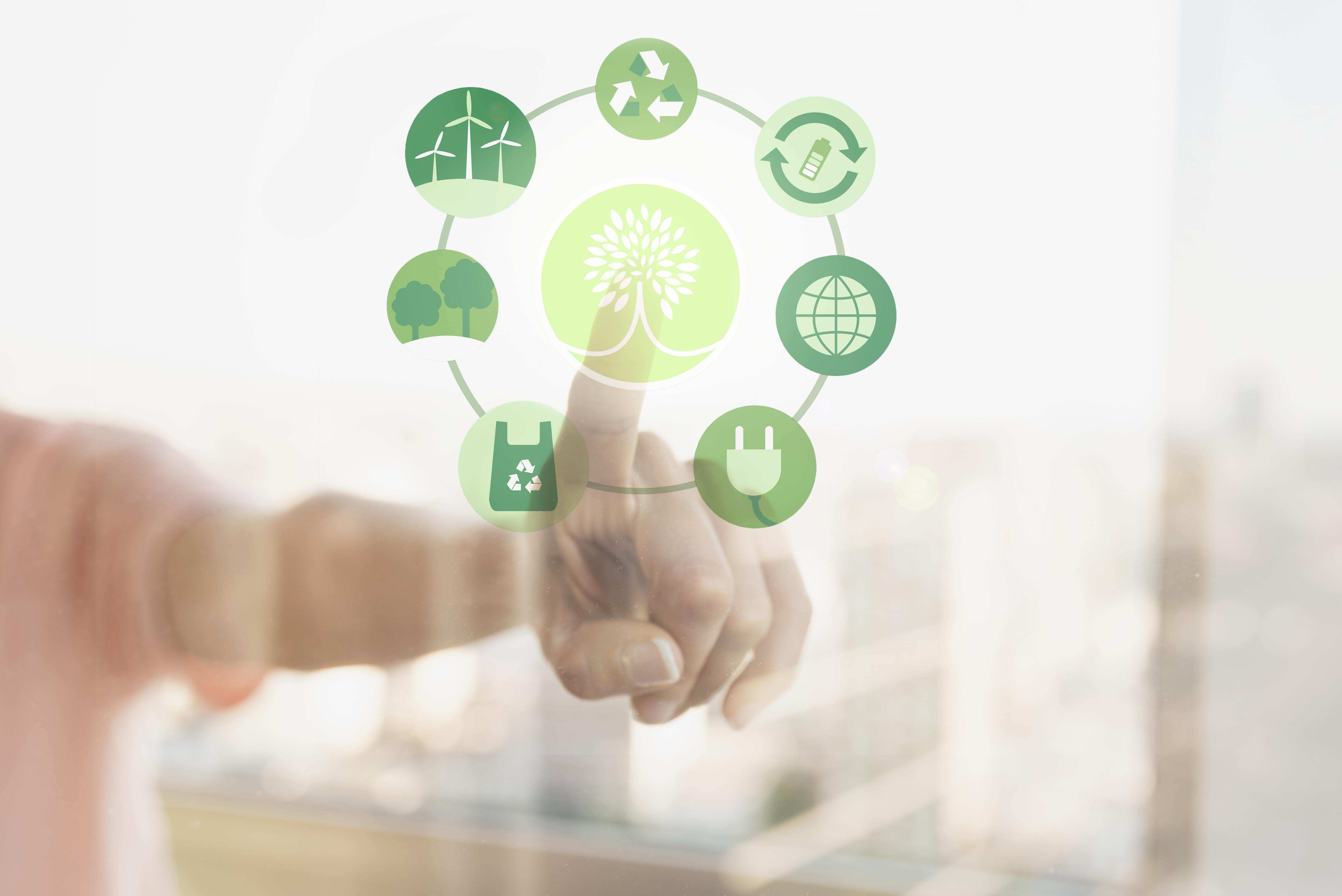 Essential Tips for Sustainable Business Finance
