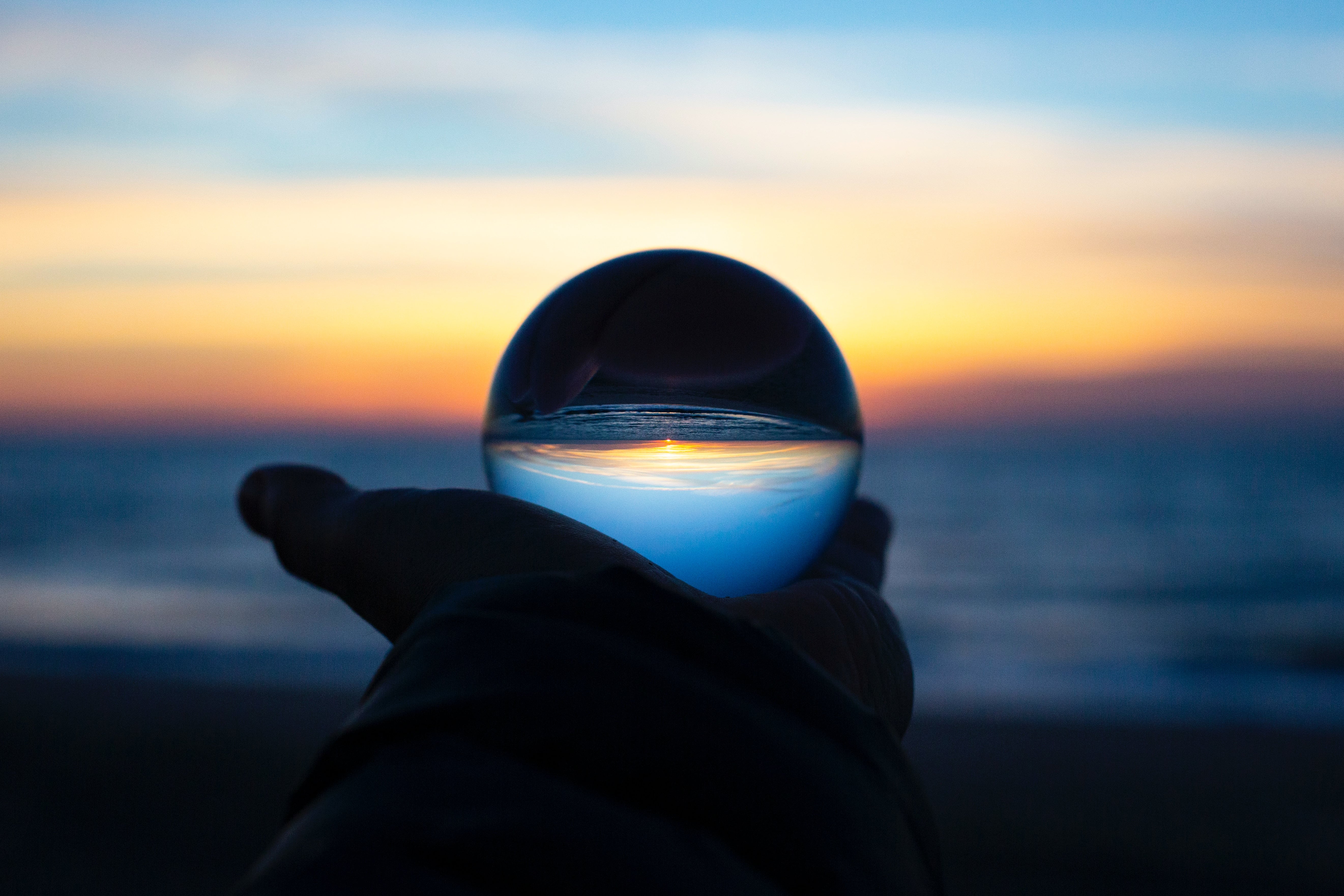 The Future of Small Business: Trends and Predictions